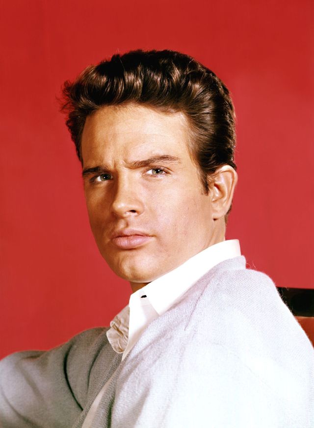 33 Handsome Photos of Warren Beatty in the 1950s and 1960s – Yesterday ...