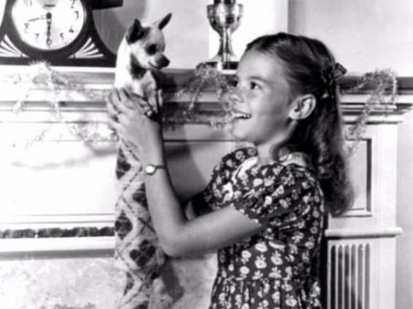 Tinsel & Stardust: Vintage Hollywood&nbsp;Christmas